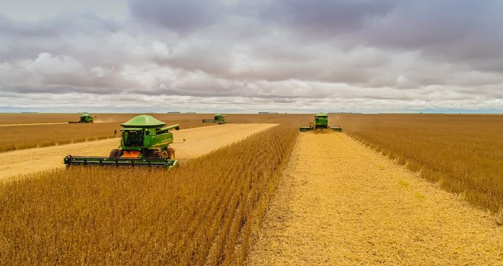Harvesters in Mato Grosso soya bean fields