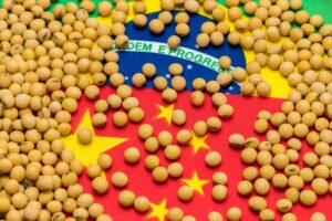 Brazil-China soya bean trade