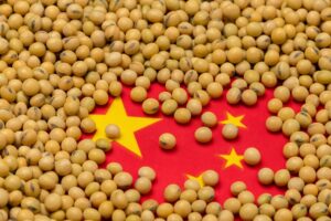 Brazil-China soya bean trade