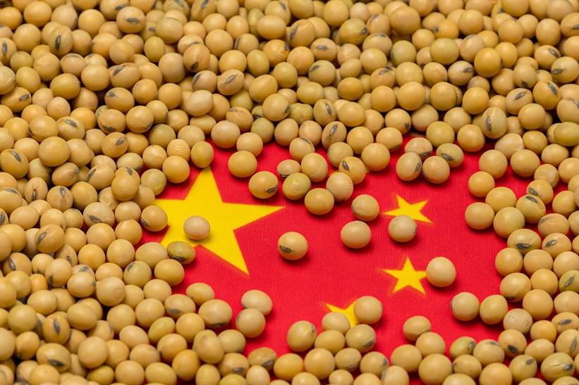 Brazil-China soya bean trade