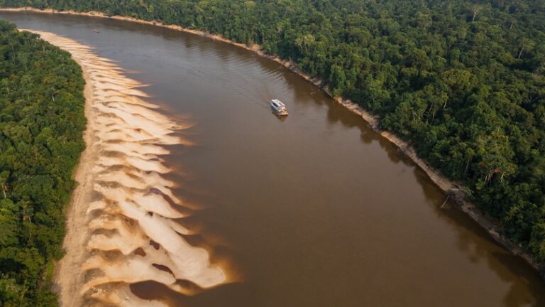 Amazon drought 2026