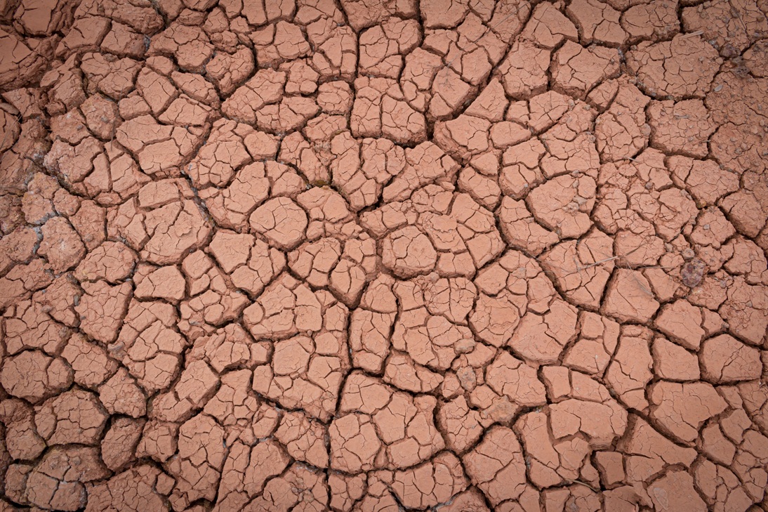 Amazon drought 2026